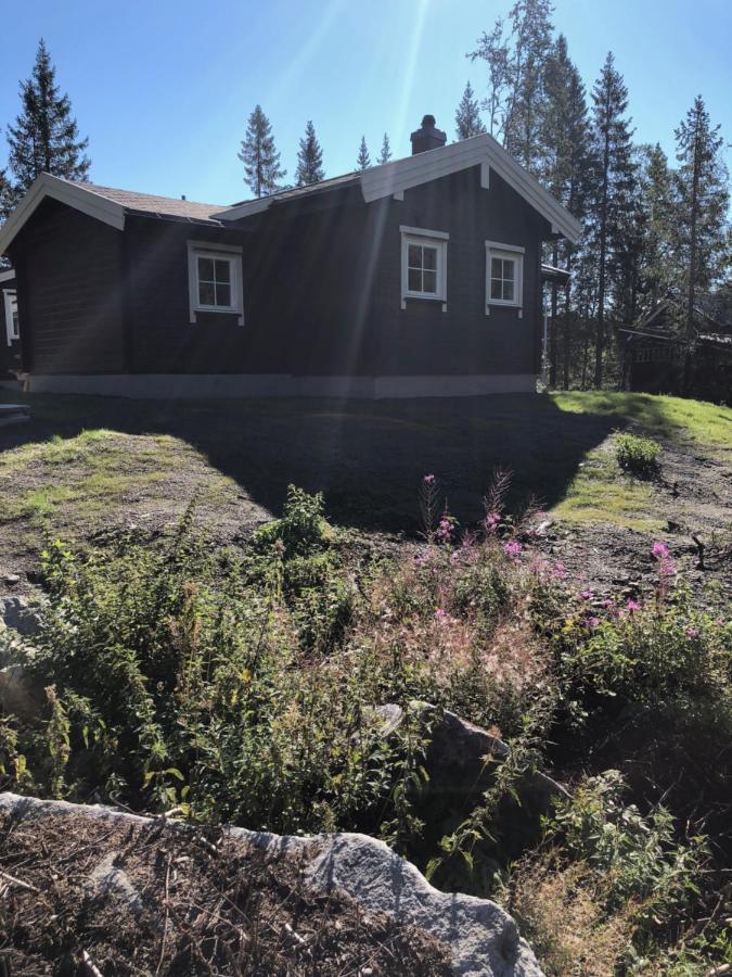 Fresh Familie Hytte Hemsedal Extérieur photo